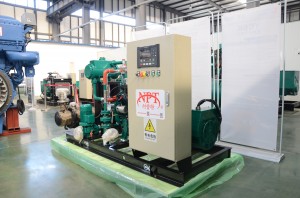 https://www.wf-npt.com/product-specifications-for-30kw-lpg-gas-generator-product/