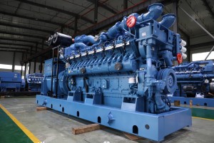 https://www.wf-npt.com/product-specifications-for-1000kw-natural-gas-biogas-generator-product/