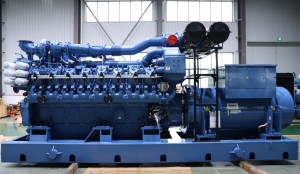 https://www.wf-npt.com/product-specifications-for-1000kw-natural-gas-biogas-generator-product/